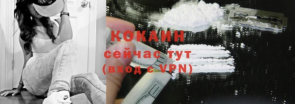 ПСИЛОЦИБИНОВЫЕ ГРИБЫ Осинники