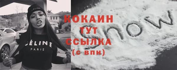 ПСИЛОЦИБИНОВЫЕ ГРИБЫ Осинники