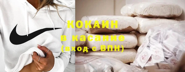 ПСИЛОЦИБИНОВЫЕ ГРИБЫ Осинники