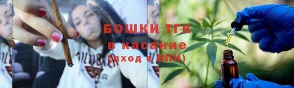 ПСИЛОЦИБИНОВЫЕ ГРИБЫ Осинники