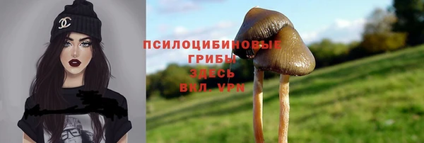 ПСИЛОЦИБИНОВЫЕ ГРИБЫ Осинники