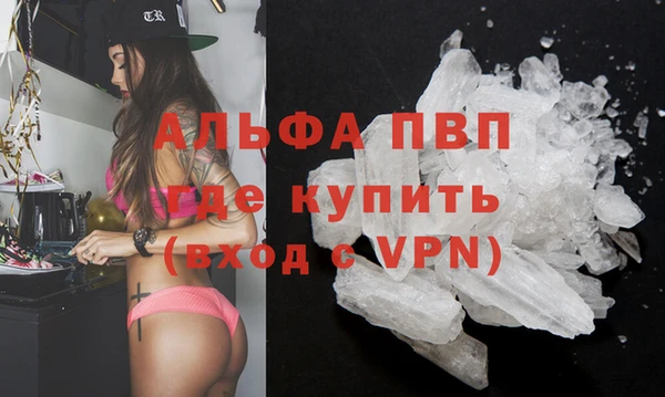 ПСИЛОЦИБИНОВЫЕ ГРИБЫ Осинники