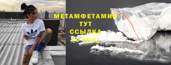 ПСИЛОЦИБИНОВЫЕ ГРИБЫ Осинники