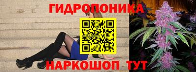 a pvp Аргун