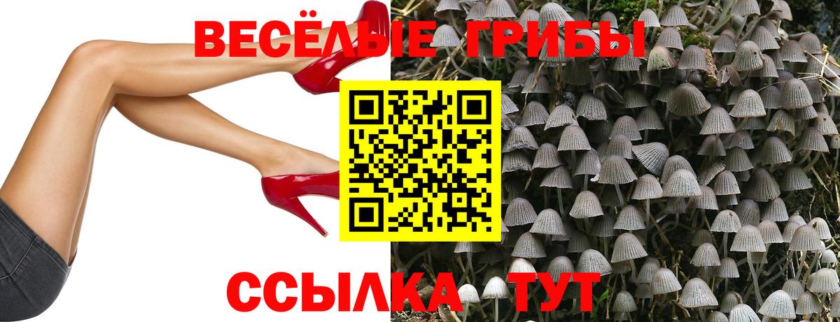 Галлюциногенные грибы Psilocybe Аргун