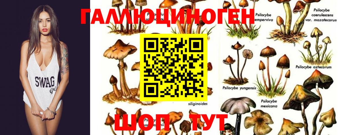 Галлюциногенные грибы мицелий Аргун