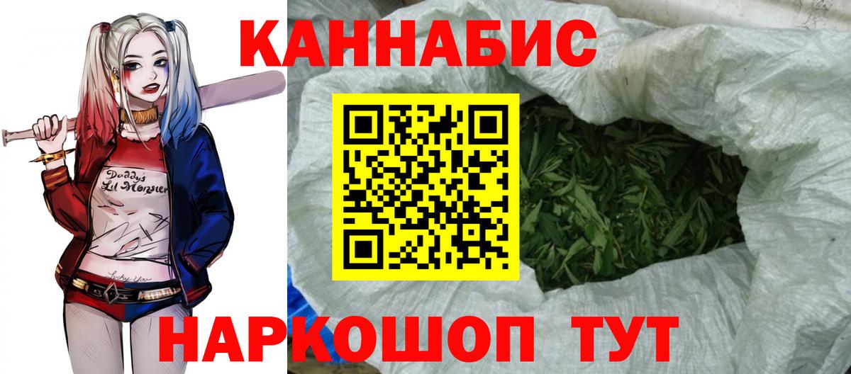 Канабис конопля Аргун